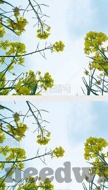 麻豆尤物视频-麻豆尤物的魅力，揭秘新媒体时代下的流行文化现象