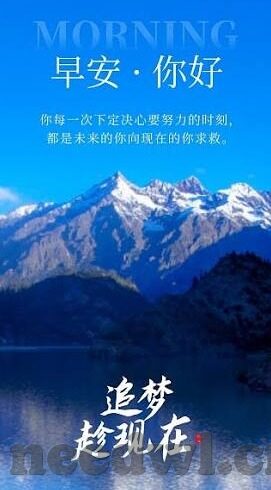 苹果testflight麻豆91-苹果TestFlight与麻豆91——窥探新时代数字娱乐的便捷桥梁